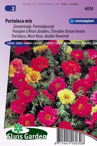 Portulaca Grandiflora zaden Choice Mix online bestellen
