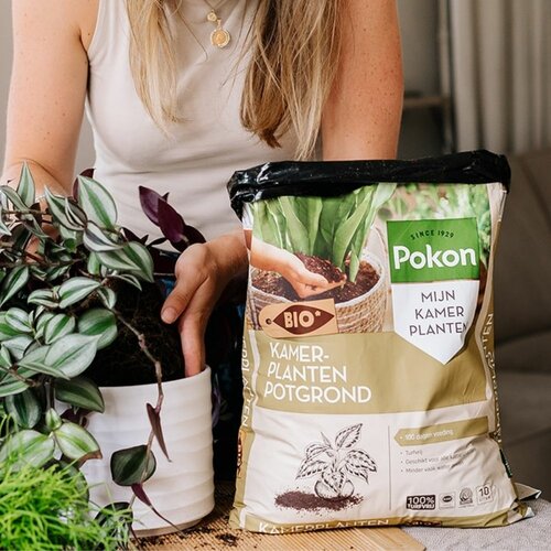 Pokon kamerplanten potgrond turfvrij 10 liter - afbeelding 2