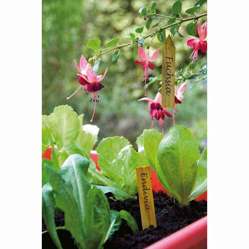 Plantetiket hout 10 cm 15 stuks