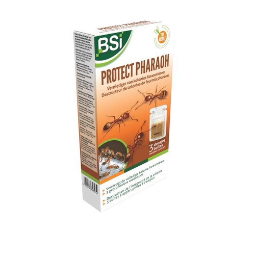 BSI protect pharaoh insecticide tegen mieren