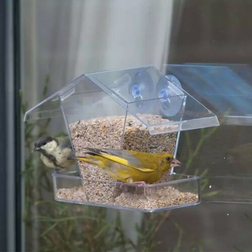 Raamvoederhuis Kreta - afbeelding 2