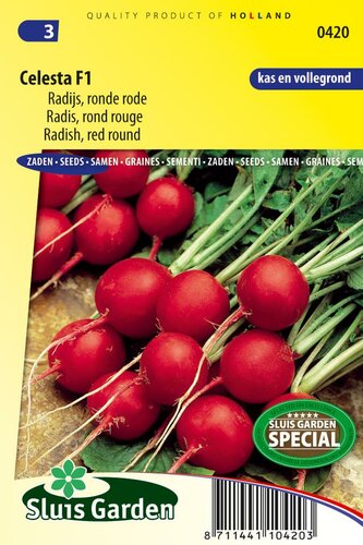 Radijs zaden Celesta F1