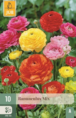 Ranonkel mix - afbeelding 1
