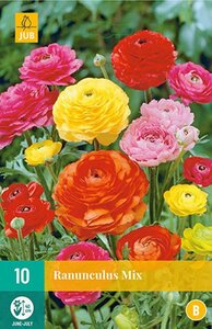 Ranunculus mix 10 knollen