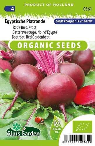 Rode biet zaden Egyptische Platronde BIO