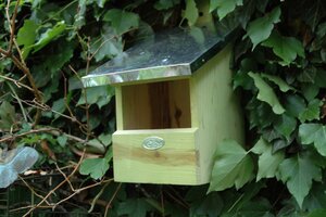 Roodborst nestkast vogelhuisje - afbeelding 2