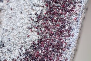 Ecostyle roofmijt tegen bloedluis bij gevogelte 5.000 - afbeelding 2