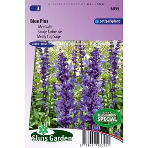 Salvia Farinacea zaden Blue Plus meelsalie