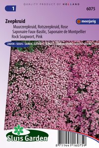 Bestel hier online Saponaria Ocymoides zaden Zeepkruid