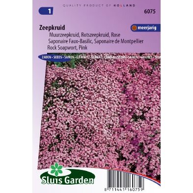 Saponaria Ocymoides zaden Zeepkruid