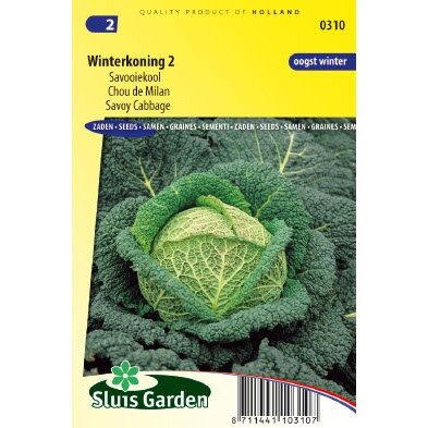 Savooiekool zaden Winterkoning 2
