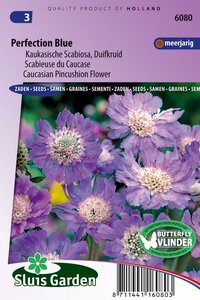 Bestel hier online Scabiosa Caucasica zaden Perfection
