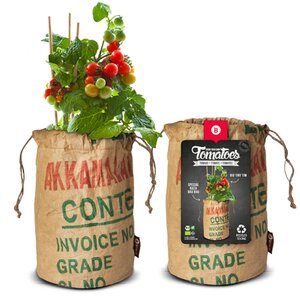 Seeds & Tomatoes rags bio tiny tim - afbeelding 2