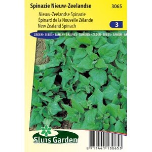Spinazie zaden Nieuw Zeelandse