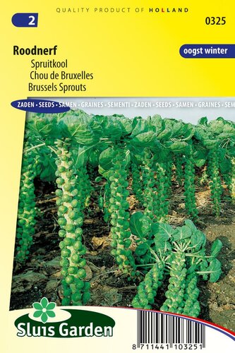 Spruitkool zaden Roodnerf