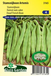Stamsnijboon zaden Artemis online te bestellen