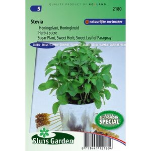 Stevia zaden Honingplant