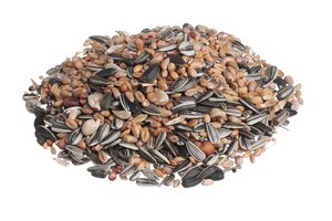 Oosteinde strooivoer 4 kg