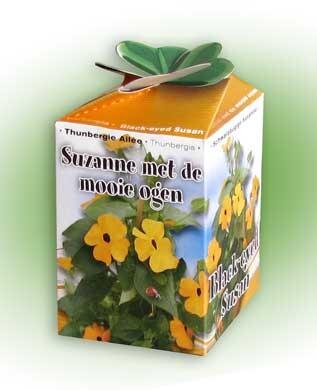 Suzanne met de mooie ogen Greengift