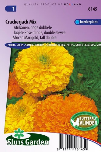 Tagetes Erecta zaden Crackerjack afrikaan