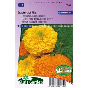 Tagetes Erecta zaden Crackerjack afrikaan