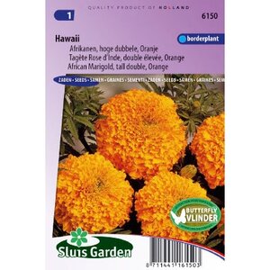 Tagetes Erecta zaden Hawaii afrikaantje