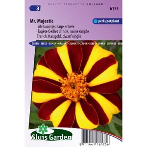 Tagetes Patula Nana zaden Mr. Majestic afrikaan