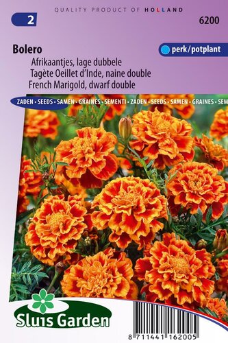 Tagetes Patula zaden Bolero afrikaantje