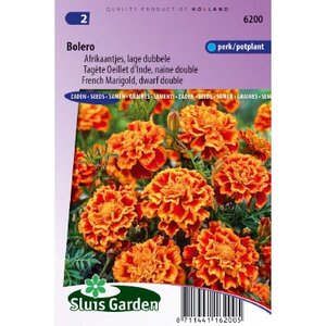 Tagetes Patula zaden Bolero afrikaantje