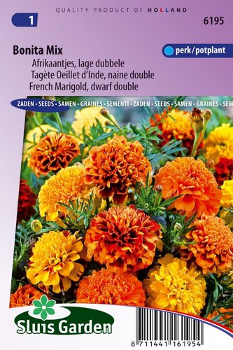 Tagetes Patula zaden Bonita mix afrikaan