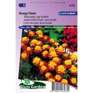 Tagetes Patula zaden Orange Flame afrikaan