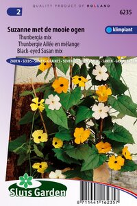 Bestel hier Thunbergia zaden Suzanne met de mooie ogen