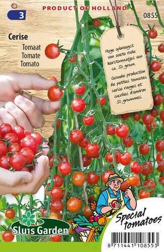 Tomaat zaden Cerise