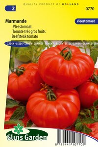 Tomaat zaden Marmande hier online bestellen