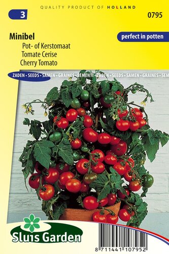 Tomaat zaden Minibel