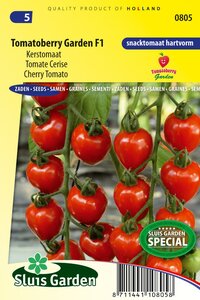 Tomaat zaden Tomatoberry Garden F1 kopen