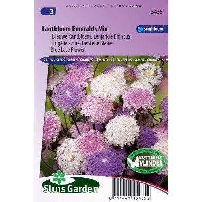 Trachymene Caeruleus zaden Kantbloem mix