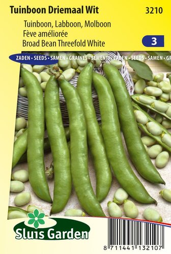 Tuinboon Driemaal Wit 80 gram