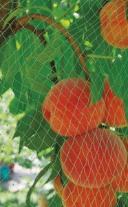 Nature tuinnet mono 5x2 meter groen - afbeelding 2