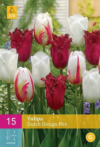 Tulpenbollen dutch design mix 15 stuks