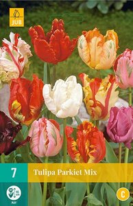 Tulp parkiet mix 7 bollen