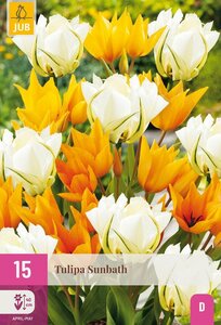 Tulp sunbath 15 bollen