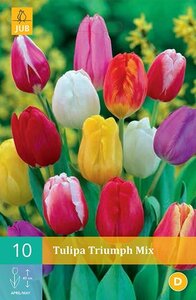Tulipa triumph mix 10 stuks