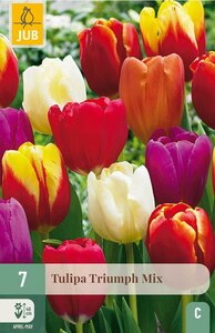 Tulp triumph mix 7 stuks - afbeelding 1