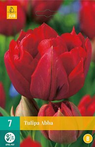 Tulp Abba 7 bollen - afbeelding 1