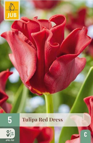Tulp crown red dress 5 bollen - afbeelding 1