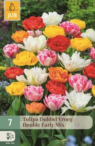 Tulp Double early mix 7 bollen - afbeelding 1
