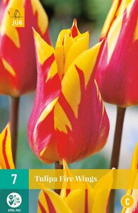 Tulp fire wings 7 bollen - afbeelding 3
