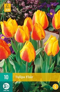 Tulp Flair 10 bollen - afbeelding 1