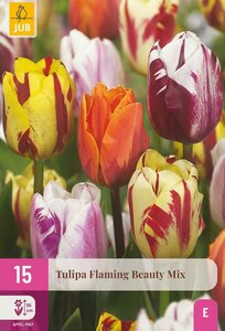 Tulp flaming beauty mix 15 bollen